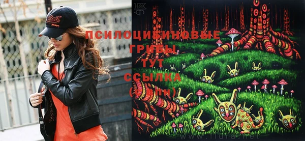 герыч Вяземский