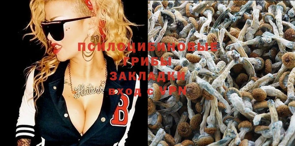 мяу мяу кристалл Лабытнанги