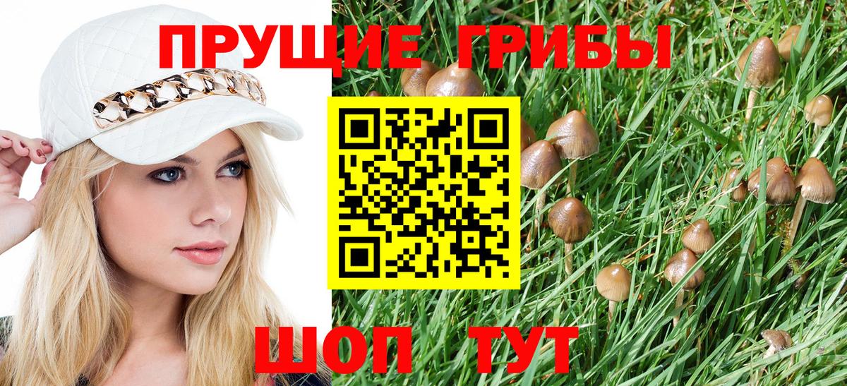 Псилоцибиновые грибы прущие грибы Малоярославец