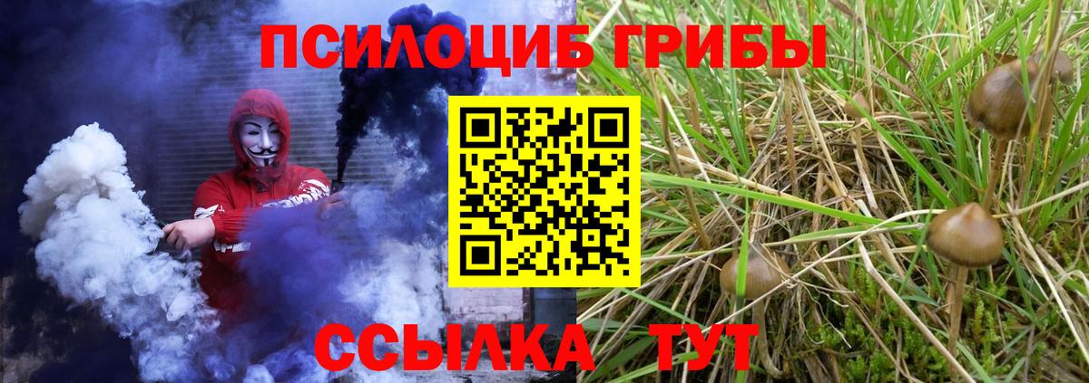 Галлюциногенные грибы GOLDEN TEACHER  Малоярославец 