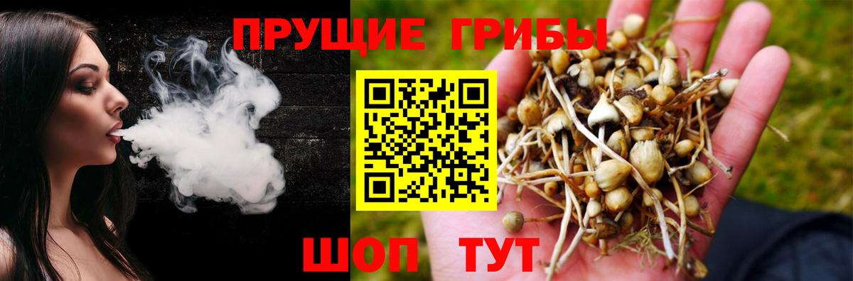 Галлюциногенные грибы мицелий Малоярославец