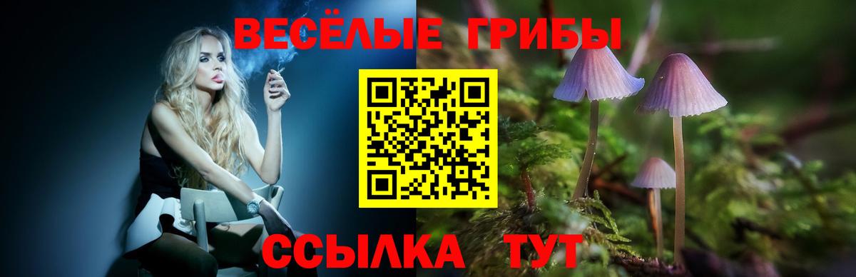 МЕФ   Малоярославец  Вход с VPN  МЕТАМФЕТАМИН 